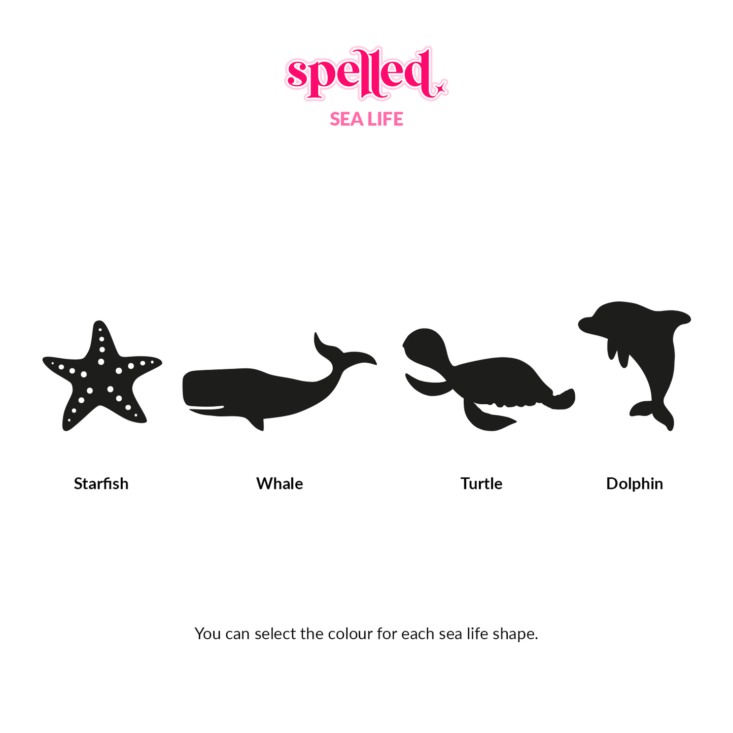 Sea Life Name Sign
